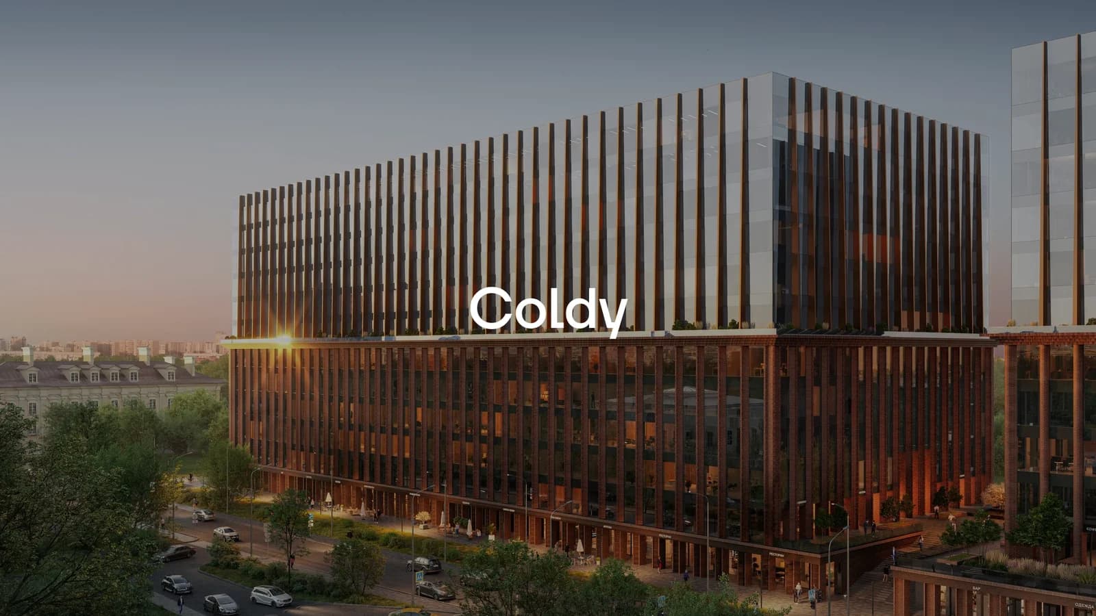 Coldy — a UX/UI audit of the site and internal materials