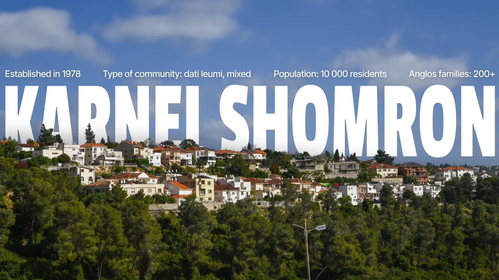 Harey Zahav — design support for an Israeli developer — screen 14