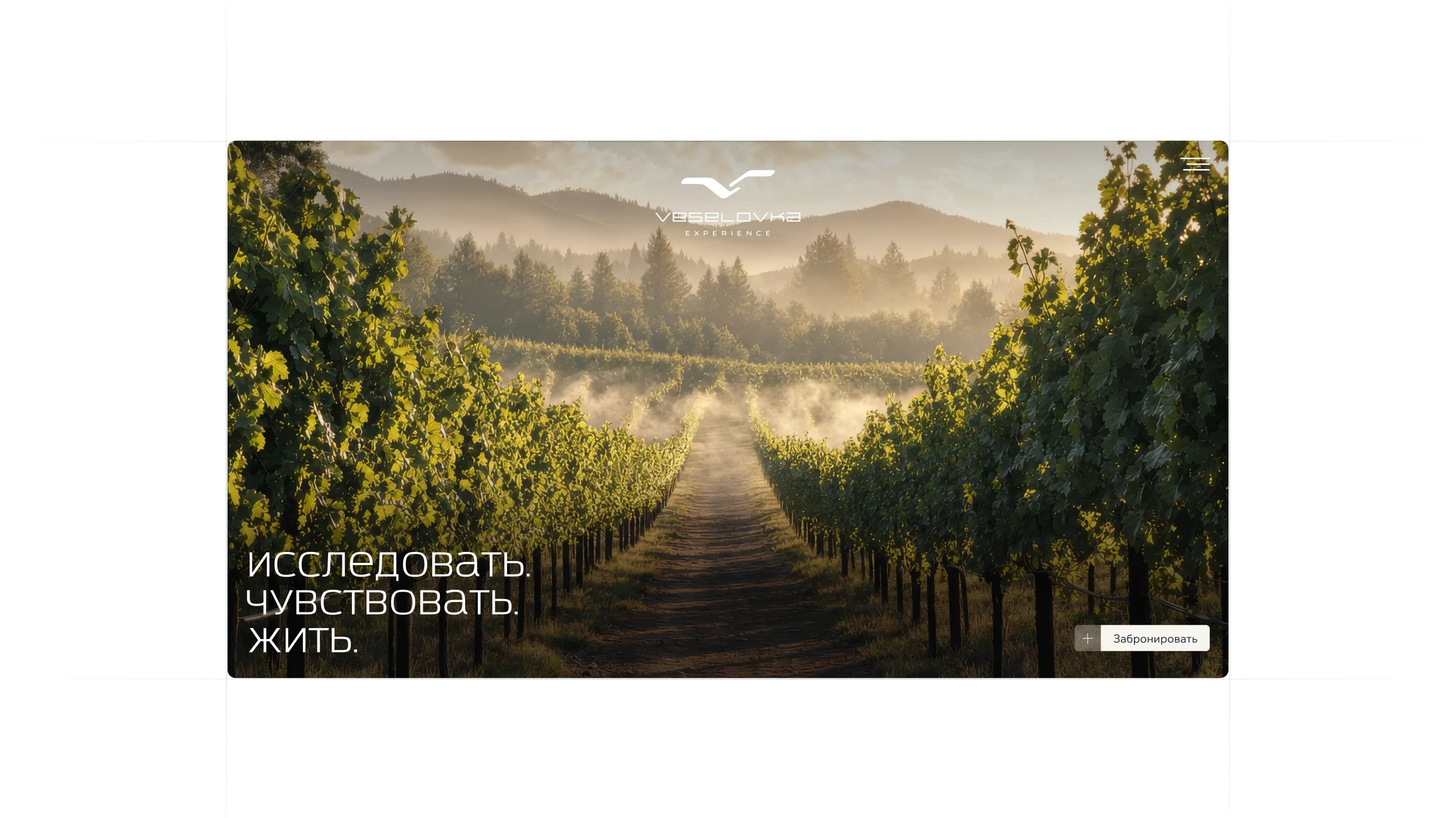 Veselovka Experience — a website for a seaside hotel complex — screen 2