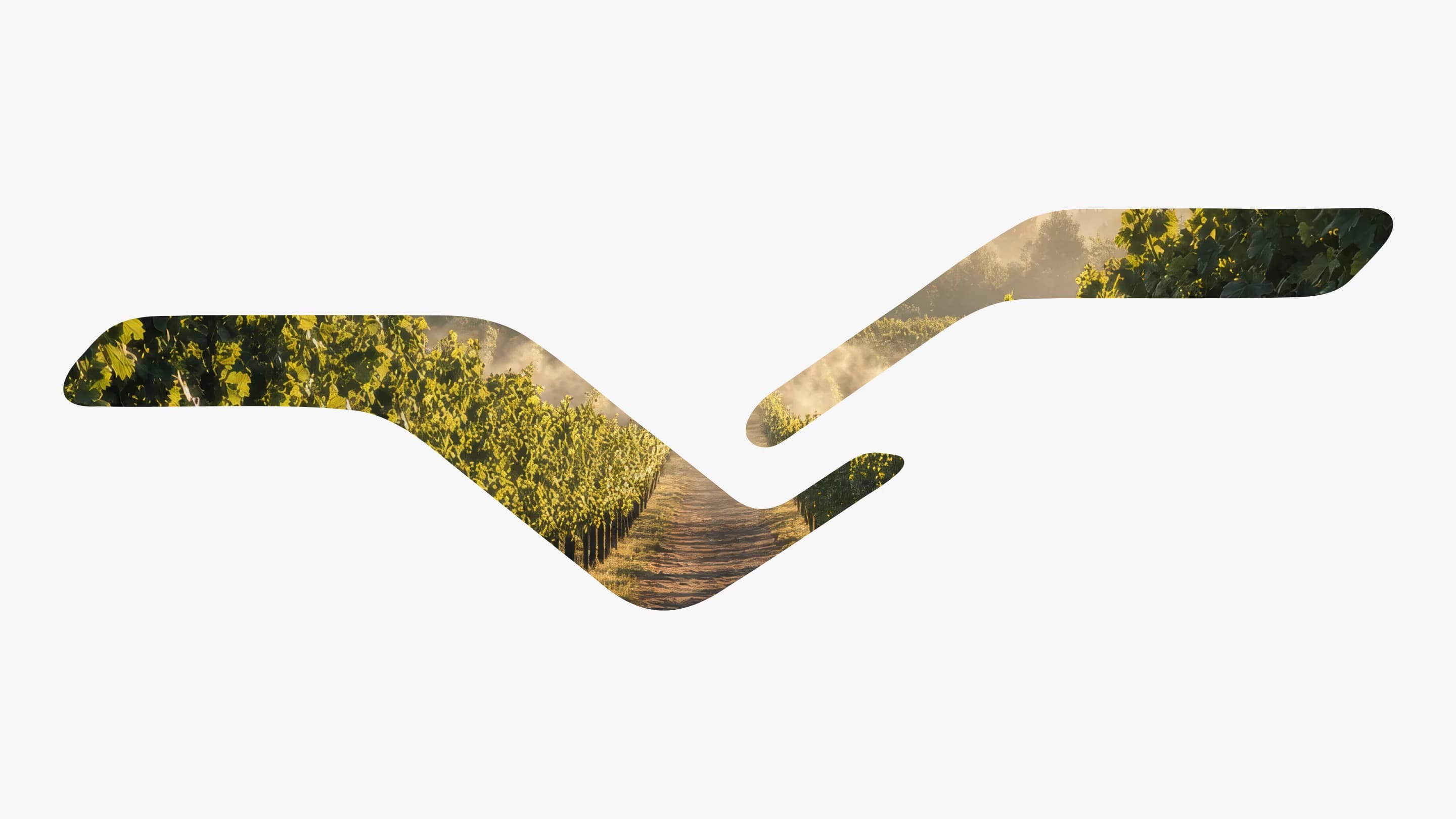 Veselovka Experience — a website for a seaside hotel complex — screen 5