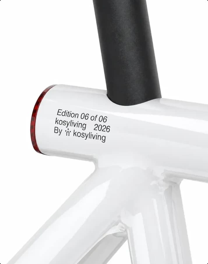 Kosy Living — a bicycle frame from a series of six objects